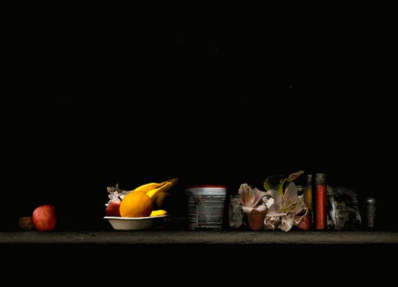 Albano Afonso e Nino Cais . Fotografo o que não vejo: Coleção Dulce e João Carlos de Figueiredo Ferraz