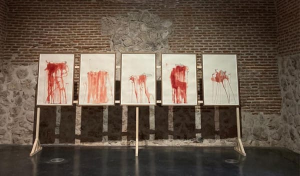 Sandra Cinto . El Crimen Perfecto