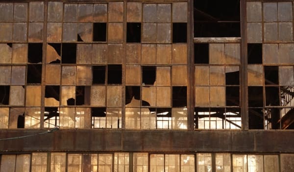 Yuri Firmeza . Contracto Natural