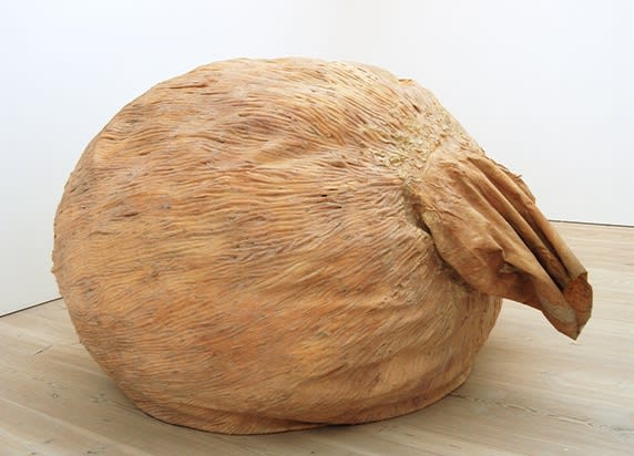 JULIANA CERQUEIRA LEITE . THE UNKNOWN AND ITS POETICS