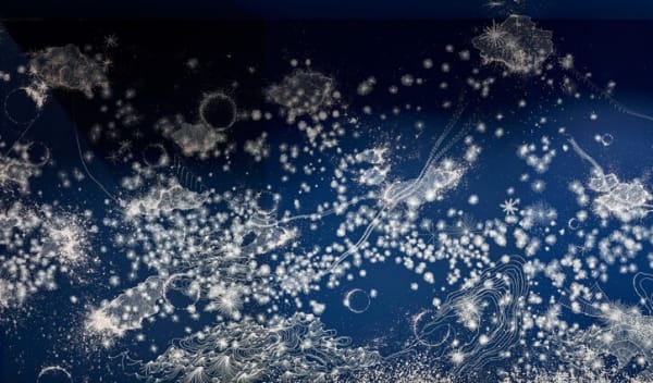 Sandra Cinto . Cosmic Garden