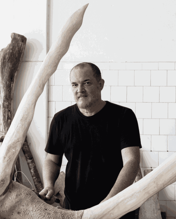 ZÉ CARLOS GARCIA . 14ª BIENAL DO MERCOSUL - ESTALO