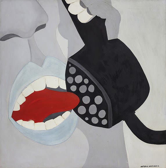 Antonio Henrique Amaral: Pelo Avesso