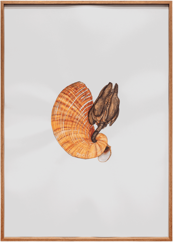 Mariana Palma, Untitled, 2020