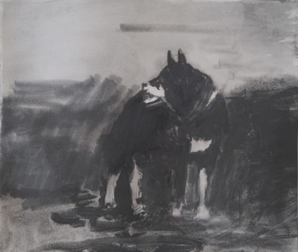 Eduardo Berliner, Cão, 2019