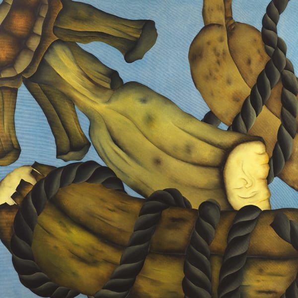 Bananas e cordas, 1973