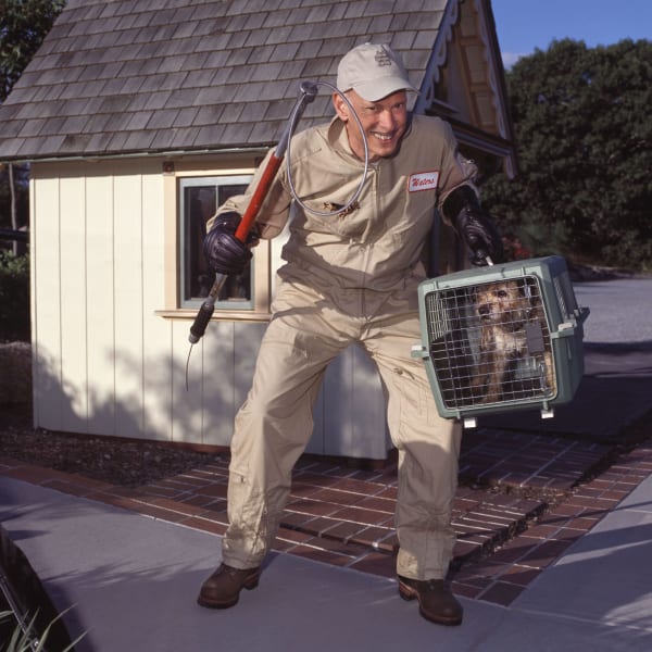 John Waters Self-portrait #5 (Dog Catcher), 2012 C-print Image: 36 x 36 inches 91.4 x 91.4 cm