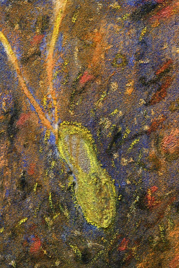 Pier Paolo Calzolari Untitled, 2020 (detail) Salt, pastels à I'écu, oil pastels, tempera grassa, canvas on wood 21 5/8 x 19 3/4 x 1 5/8 inches 55 x 50 x 4 cm