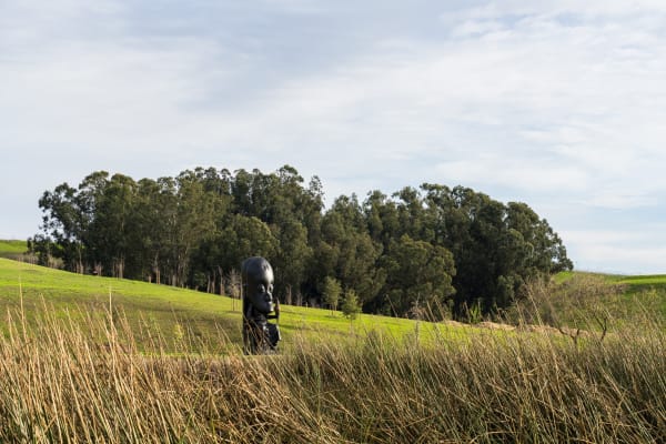 Oracle (2021) by Sanford Biggers at the Donum Estate. Image: Adam Potts Photography.