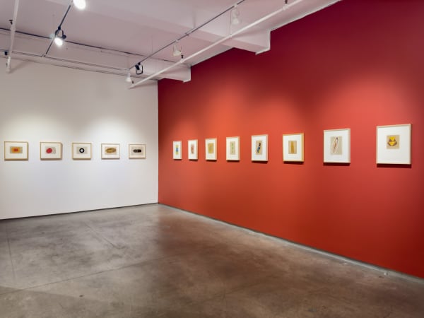 Vyakul Installation 3