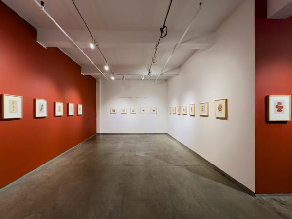 Vyakul Installation 4