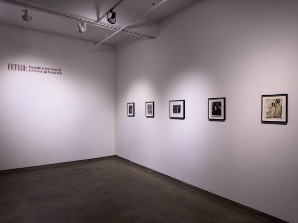 Fetish Installation 2