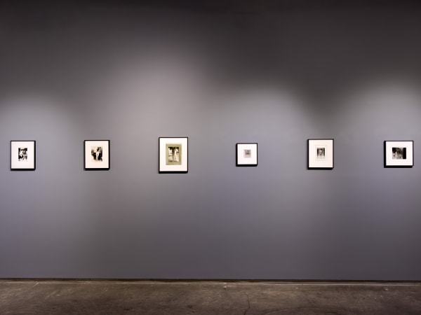 Fetish Installation 5