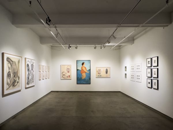 Scantily Installation 1