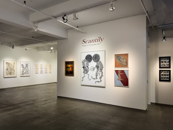 Scantily Installation 17