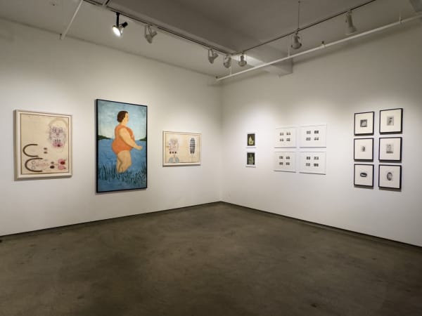 Scantily Installation 5