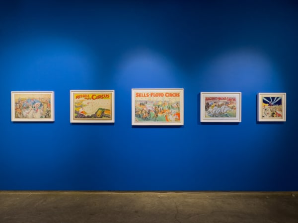 Thrills And Chills Installation 2