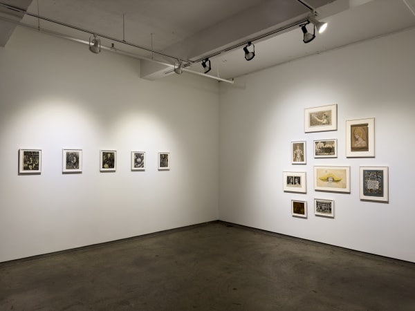 Wallace Kuhler Installation 6