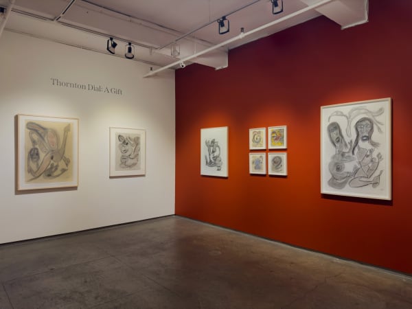 Thornton Dial Installation 1