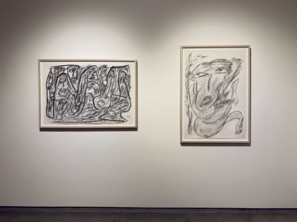 Thornton Dial Installation 5