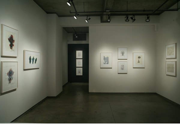 Gugging Ricco Maresca Gallery New York 9