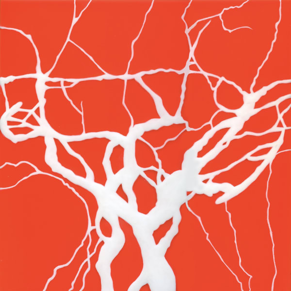 Chandelier Elm, 2021 Acrylic on panel 12 x 12 in. (30.5 x 30.5 cm) (HS 63)