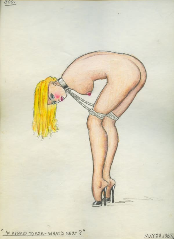 I'm Afraid to Ask What's Next, 1987 Graphite and colored pencil on paper 12 x 9 in. (30.5 x 22.9 cm) (ArU 466)