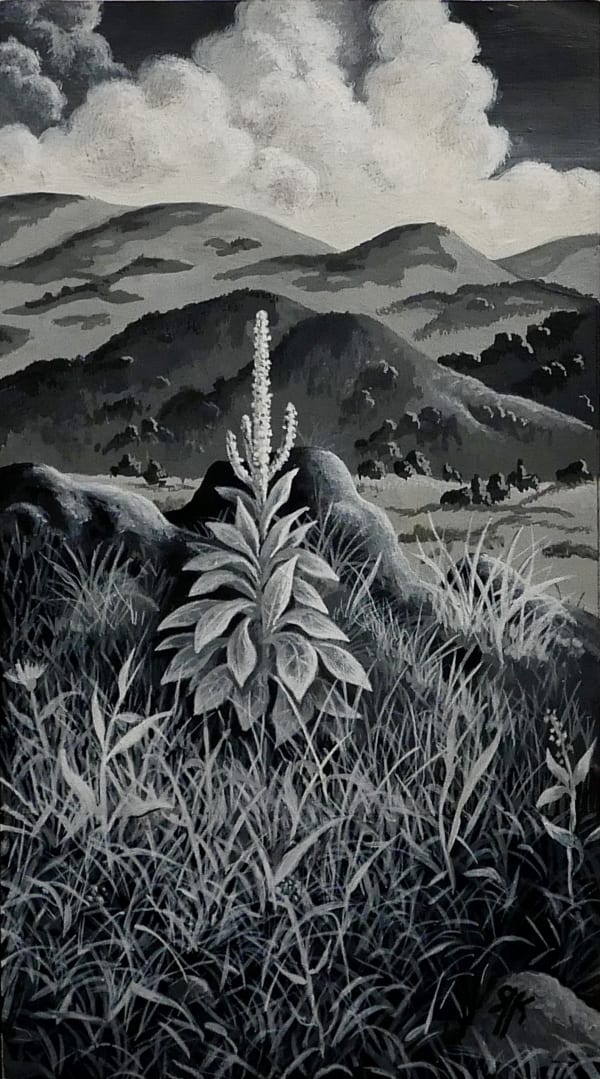 Mullein plant in graasy meadow 1970s Gouache on paper 6 1/2 x 4 in. (RK 120)