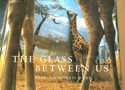 The Glass Between Us: Reflections on Urban Creatures
