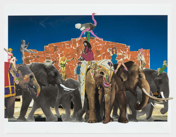 ABIGAIL FRANKFURT: ABSOLUTELY COO COO Online Exclusive