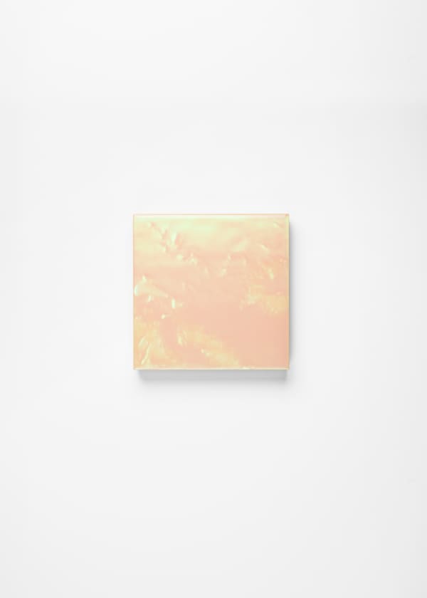 Noritaka Tatehana, Primary Colors, 2022