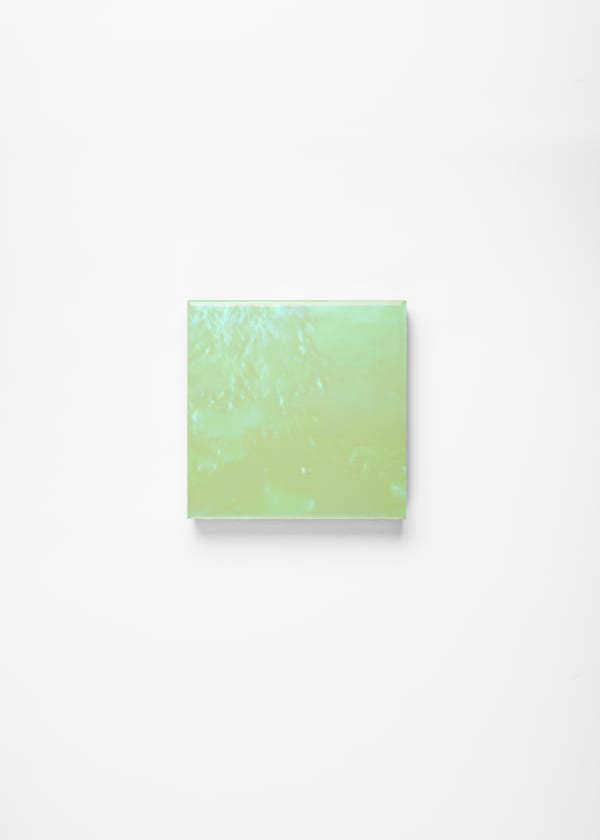 Noritaka Tatehana, Primary Colors, 2022