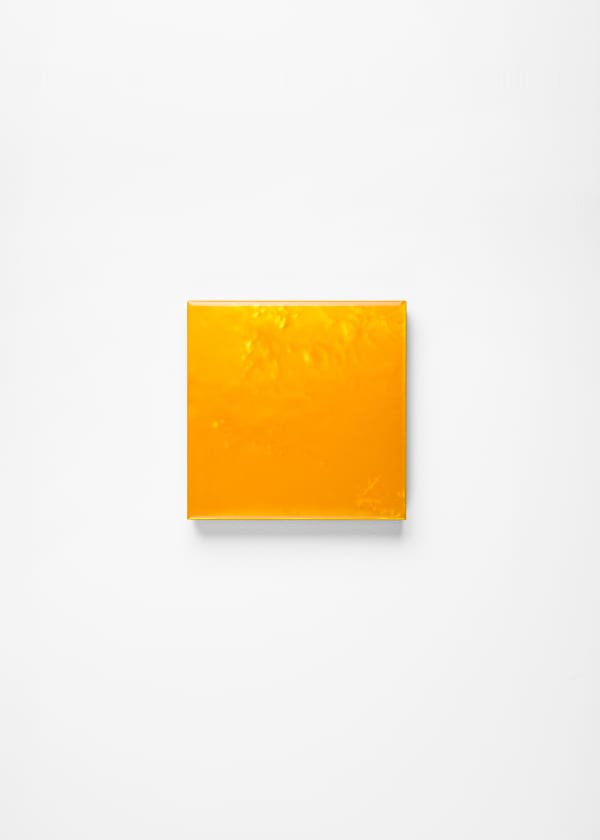 Noritaka Tatehana, Primary Colors, 2022