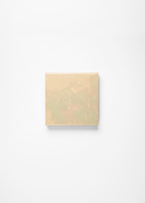 Noritaka Tatehana, Primary Colors, 2022