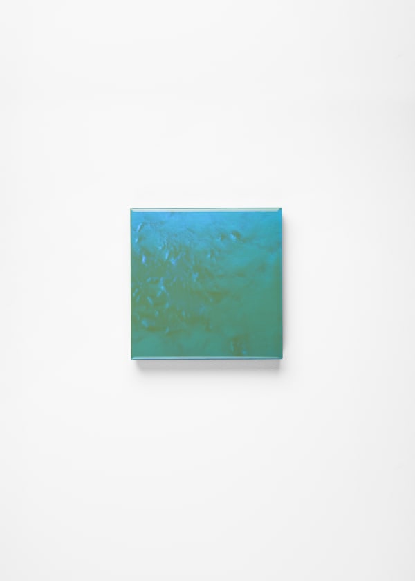 Noritaka Tatehana, Primary Colors, 2022