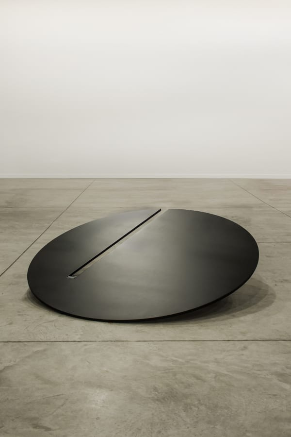 Franz Weissmann, Sem título, 1957-2011