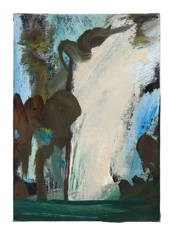 2016 Mk Tda17848 Tree Po2016 02 Photo Peter Mallet Srgb