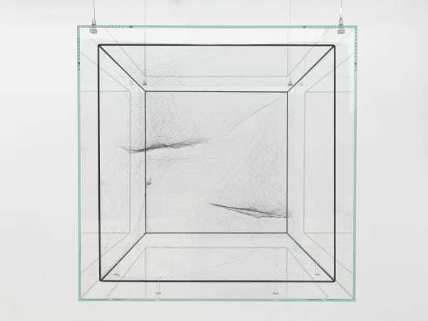 Tomás Saraceno Hybrid solitary solitary solitary semisocial SAO 81265 built by: a solo Argiope – two weeks, a solo Nephila senegalensis – four weeks, a solo Cyrtophora citricola juvenile – one week, a solo Cyrtophora citricola – one week rotated 90, 2017 Spidersilk, carbon fibre, ink, glass, metal 44.8 x 44.8 x 44.8 cm Unique work