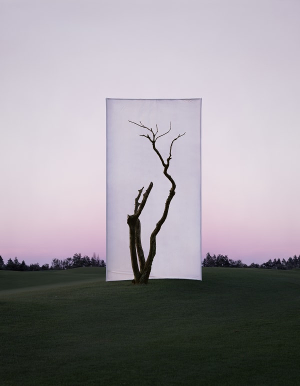 Myoung Ho Lee - Tree...#15, 2022