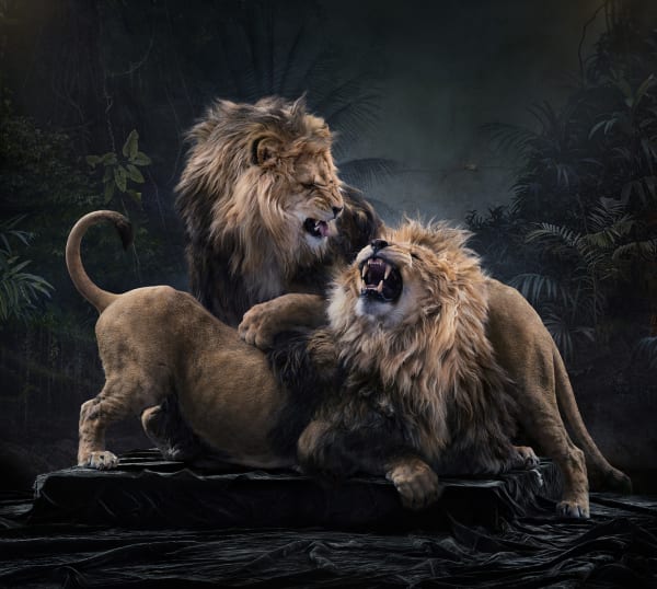 Simen Johan - Untitled #203, 2019