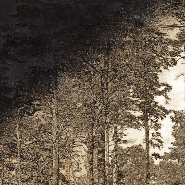 Matthew Brandt - AgXSB2038 (San Bernardino Forest), 2023