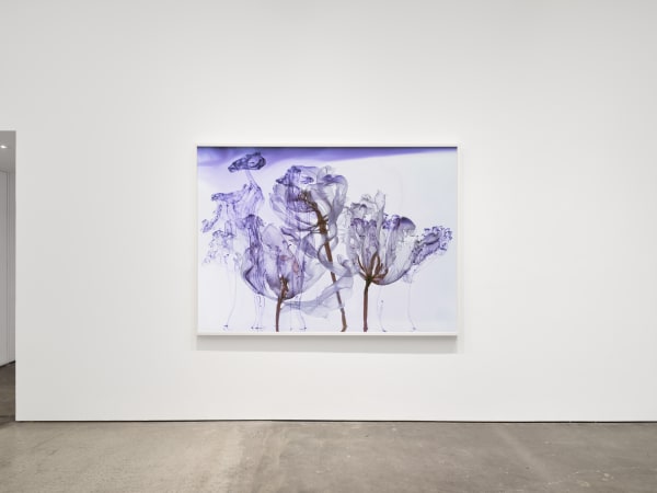 Kathrin Linkersdorff: Fairies