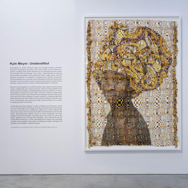 Kyle Meyer: Unidentified Presented by Yossi Milo at High Line Nine