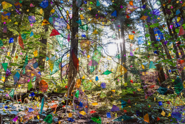 Sarah Anne Johnson Magic Hour (Cedar Forest), 2024 Pigment Print with Oil Paint and Gold Leaf 57 3/4" x 86 7/16" (146.5 x 219.5 cm) High-Resolution Image