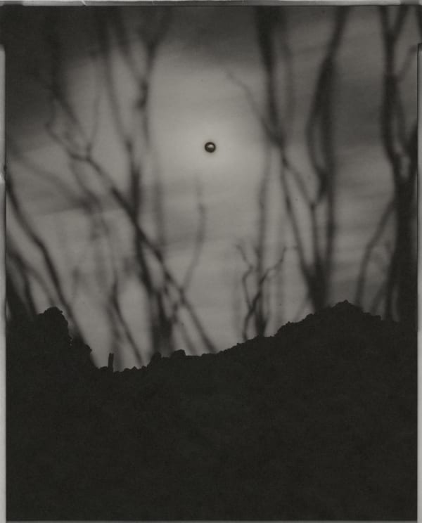 Sunburned GSP#453 (Mexico), 2010 Unique Gelatin Silver Paper Negative 10" x 8" (25.5 x 20.5 cm) Framed: 13 1/2" x 11 1/2" x 1 9/16" Unique