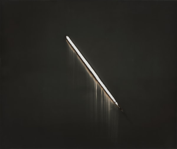 Sunburned GSP#1033 (Mojave), 2019 Gelatin Silver Paper Negative 20” x 24” (51 x 61 cm) Framed: approximately 23 5/8" x 27 5/8" (60 x 70 cm) Unique