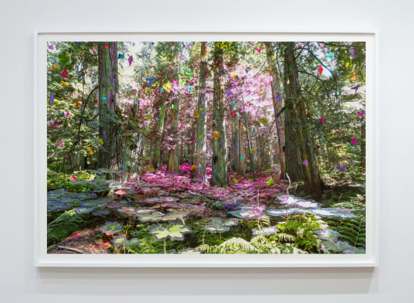 Sarah Anne Johnson (Canadian, b. 1976) Pink Secret (Cedar Forest), 2025 Pigment Print with Oil Paint Image: 40" x 59 11/16" (101.5 x 152 cm) Framed: approximately 44 5/8" x 64 5/8" (113.5 x 164 cm) Unique Variation of 3