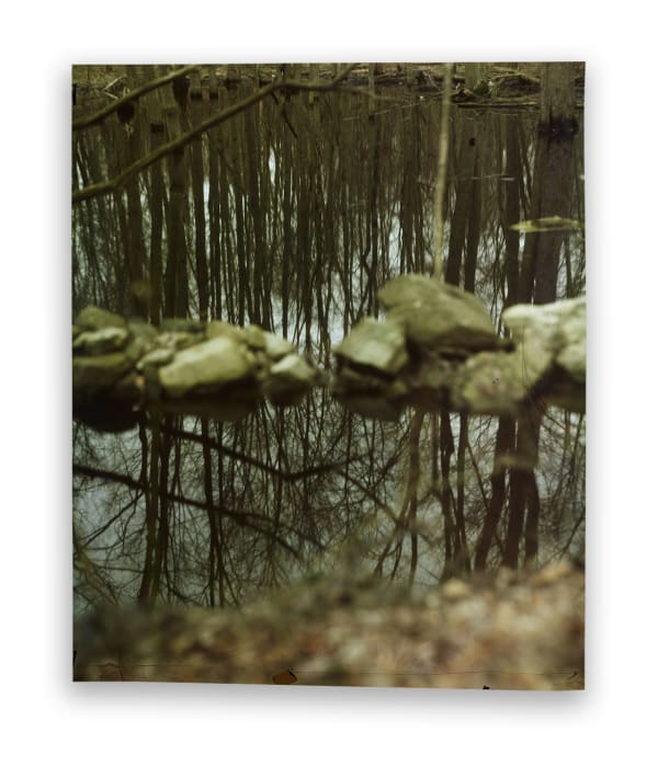 John Chiara at Ogden Museum of Southern Art