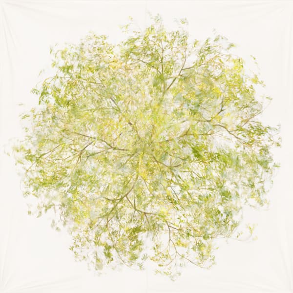 Myoung Ho Lee at 10th Changwon Sculpture Biennale
