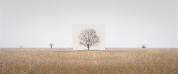 Myoung Ho Lee at Hayward Gallery